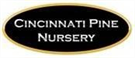 Cincinnati Pine